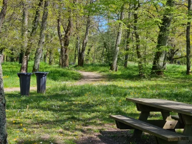 Parc de Beaudesert bancs et table de pique nique.